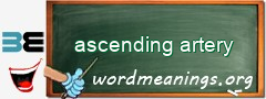 WordMeaning blackboard for ascending artery